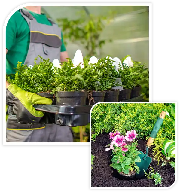 Domestic Gardening and Landscaping Products Retail.