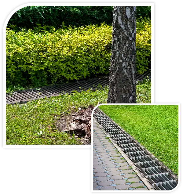 grate drainage system on lawn with green grass and bushes in backyard garden with tree trunk bark