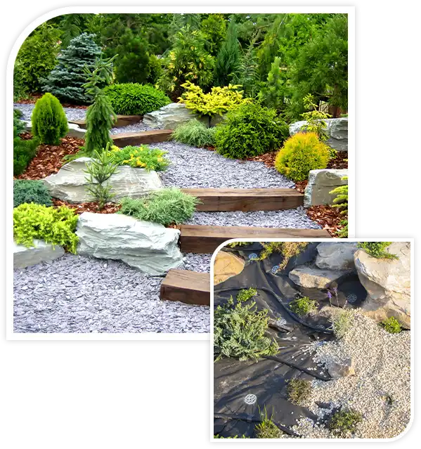 Designer garden with fresh plants and stones